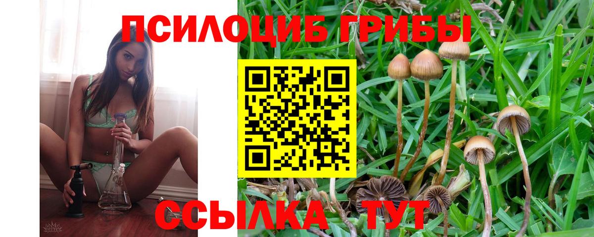 Сочи  Псилоцибиновые грибы GOLDEN TEACHER  Вход с VPN 